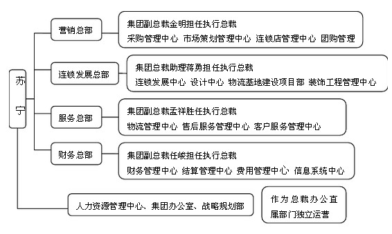 11苏宁电器概况