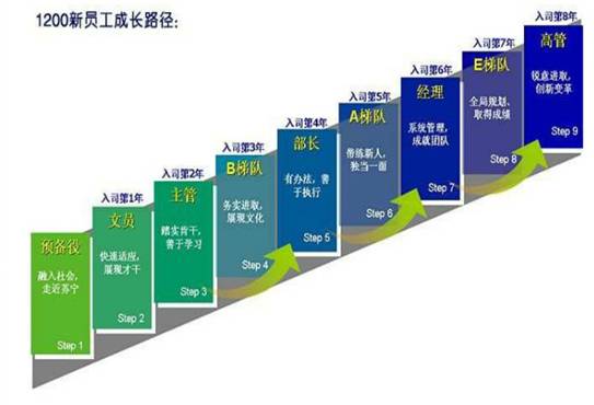 在苏宁,员工的成长路径是如此清晰,一句话——只要够努力