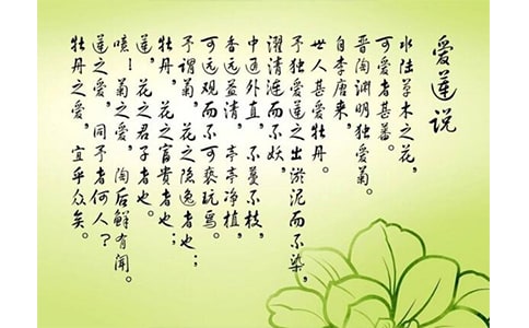 最新版爱莲说阅读心得