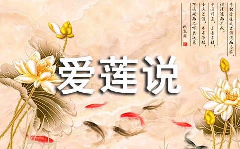 ��ª������������˵���Ƚ��Ķ�����