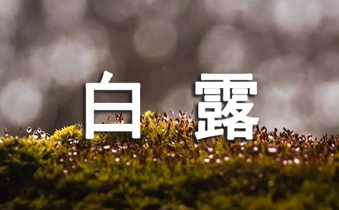 关于白露节气的.谚语