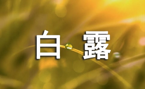 ���ڰ�¶��������
