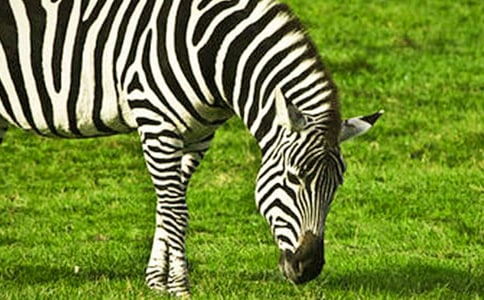 �������ð����ߵ�����600��