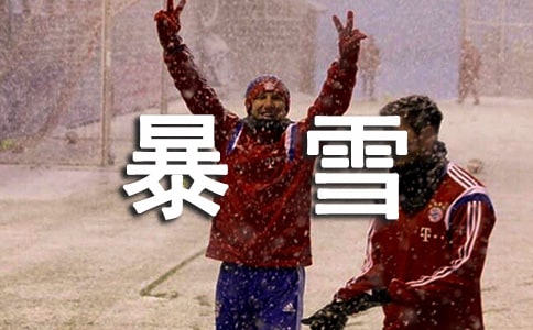 企业防暴雪应急预案