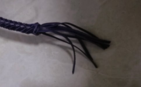 “鞭子效应”与企业物流管理