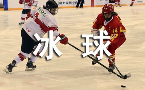 冰球有哪些专业术语-冰球专业术语