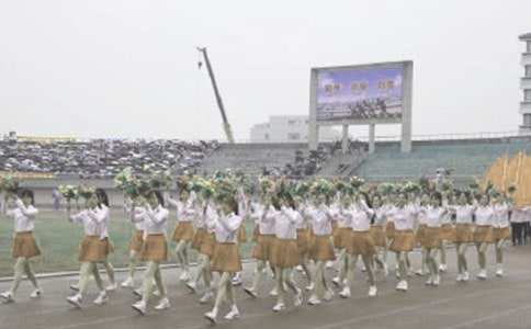 2017���µ�����ͣ�����𲽲�������