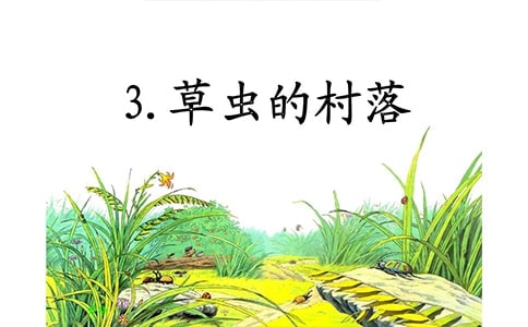 �ݳ�Ĵ������ʼ�3ƪ