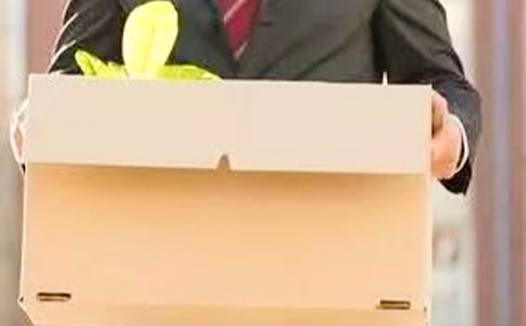 ��ְ���淶��wordģ��4ƪ