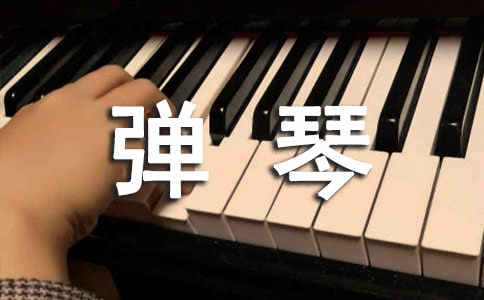 我的弹琴之旅六年级作文