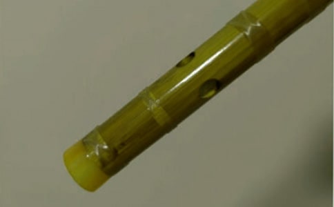 ���ӵ�ָ��ѵ������