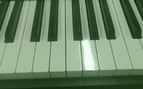 我喜欢的电子琴作文