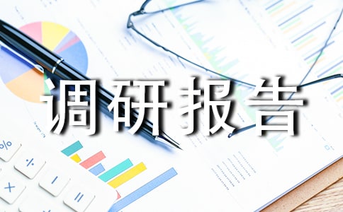 中小微企业及民营经济的调研报告范文