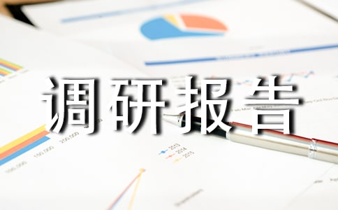 暑期社会实践调研报告范文