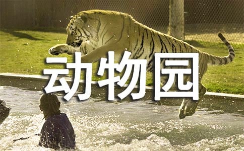 太原动物园导游词优秀