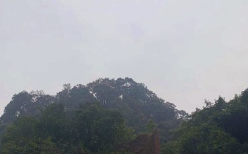 ��üɽ���δ����ľ�ѡ5ƪ