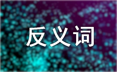 ������ʵĴ���