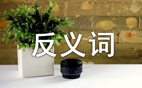 意大利语反义词