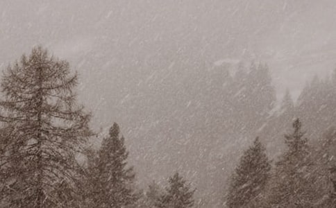 风雪天气应急预案范文