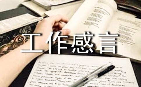 年终工作感言