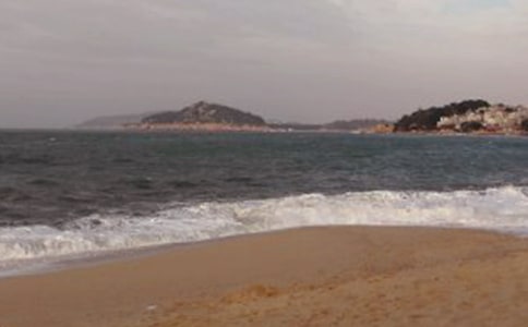 �����쵼�δ�13ƪ