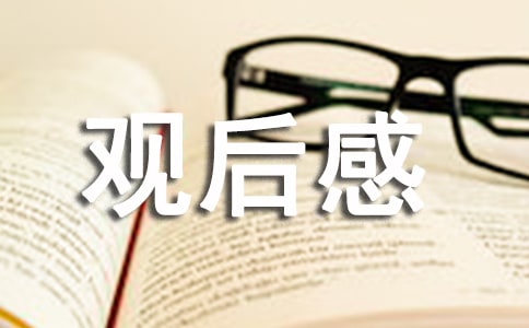 群星闪耀黑土地的观后感(通用13篇)