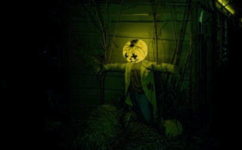 ��һ�ν���������