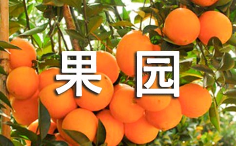 果园承包合同汇编15篇