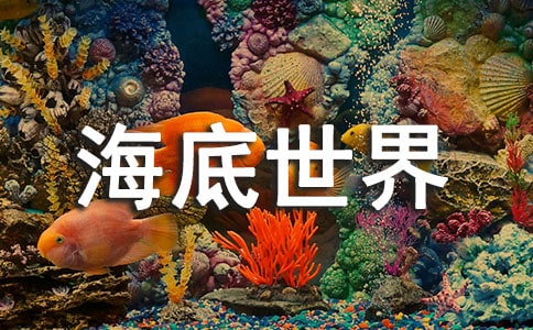 �ൺ�������絼�δ�12ƪ