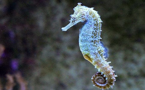 ѡ����������ļ���-��������Ĵ洢����