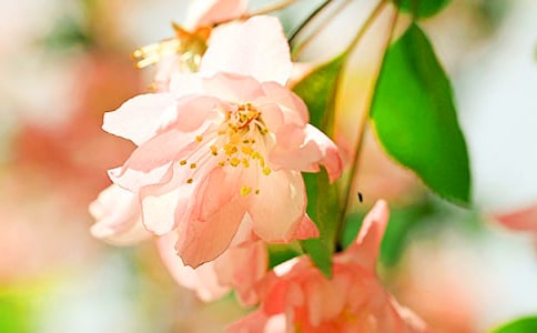 ���Ļ���ô��-���Ļ�����ֳ����
