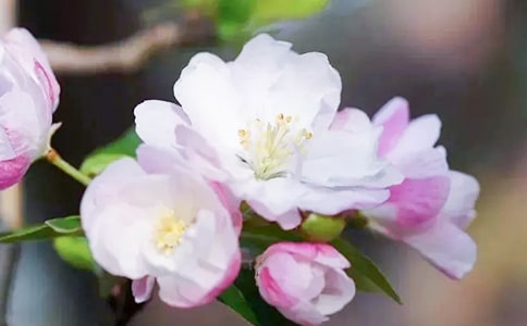 �����еĺ������ļ���5ƪ