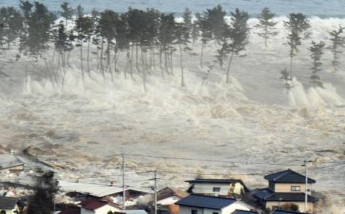 《海啸奇迹》观后感