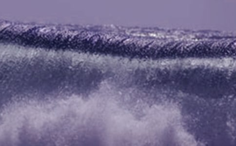 海啸奇迹观后感
