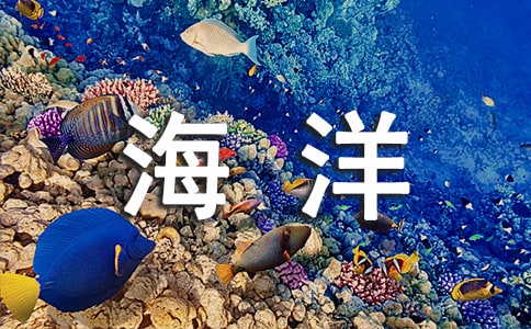 ���纣������������12ƪ���ϼ���