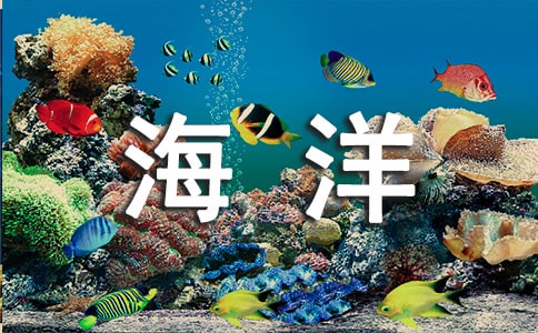 �ൺ���󼫵����絼�δ�