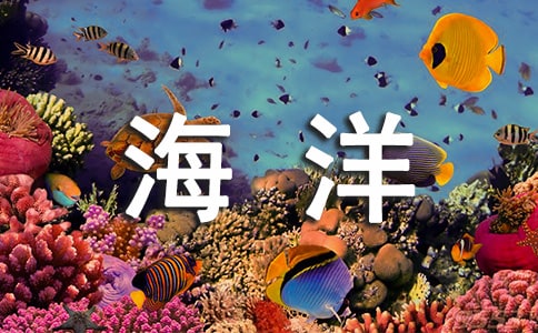 ���纣���������������