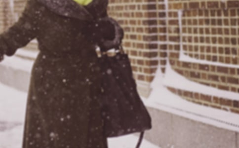 寒潮暴风雪应急预案