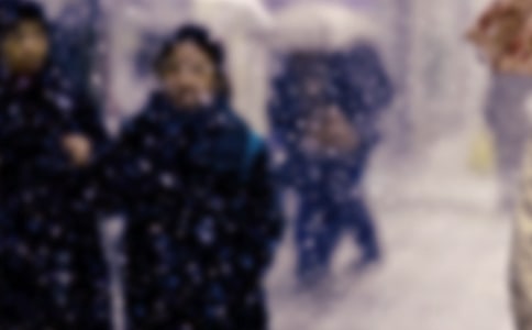������������Ӧ��Ӧ��Ԥ��3ƪ������