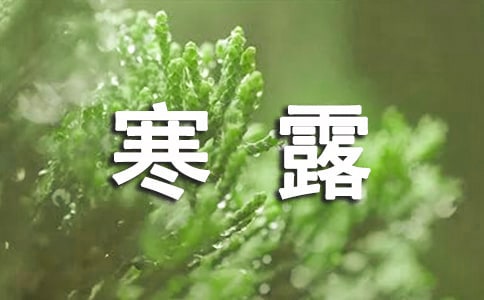 二十四节气寒露谚语