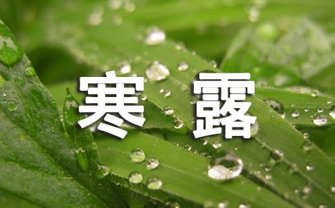 寒露节短信祝福语大全「最受欢迎」