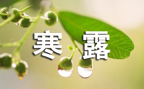 形容寒露的谚语
