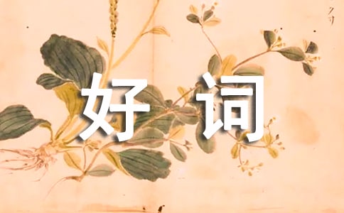 马克·吐温《汤姆·索亚历险记》好词好句摘抄