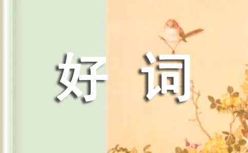 ��������ժ���ĺôʺþ�
