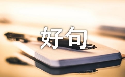 【实用】人生感悟好句摘录59条