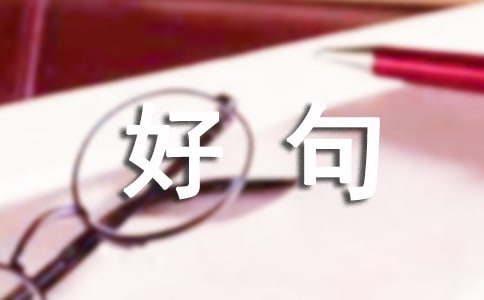 2022��ʵ�õ���������þ�ժ¼38��