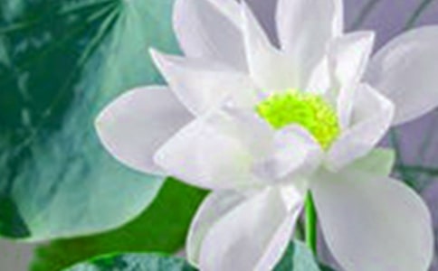 �������ݺɻ��ľ��ӡ�Ψ����