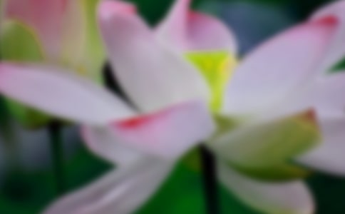 ���ںɻ��Ĺ۲��ռ�