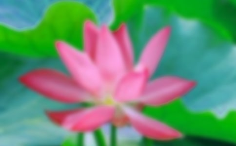 ��д����ɻ���Ψ������150��