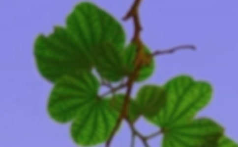 �ذ����˹�����г�����鷶��